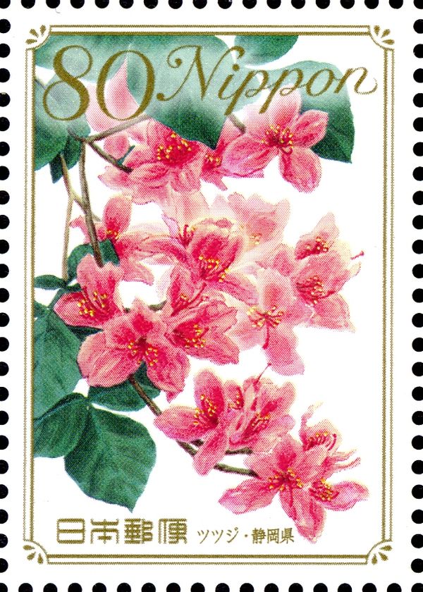 Azalea - Shizuoka Prefecture