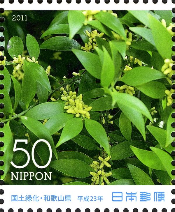 Nagi Tree