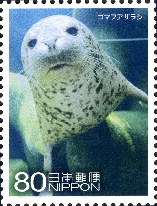 Spotted Seal (Phoca Vitulina Largha)