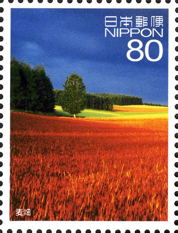 Fields of Wheat, Biei-cho, Kamikawa District