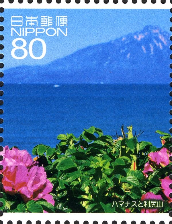 Rosa Rugosa and Mount Rishiri, Toyotomi-cho, Teshio District