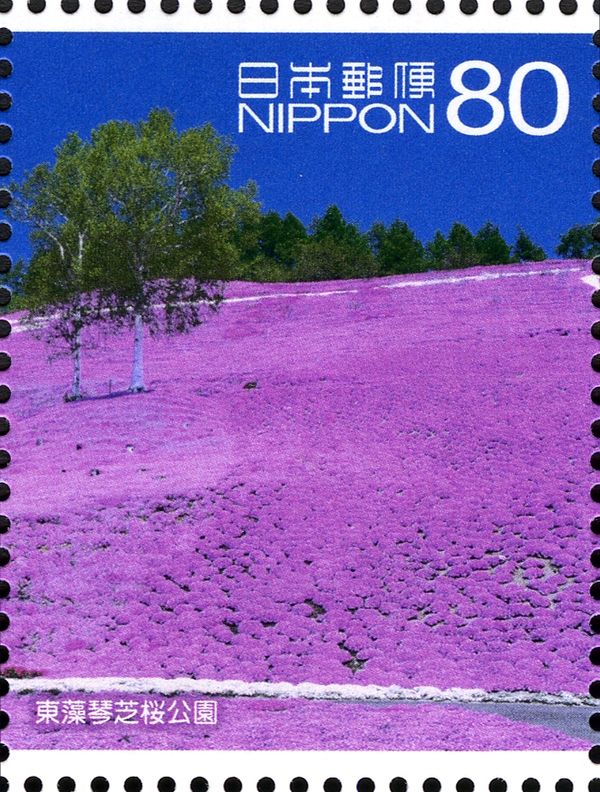 Higashimokoto-shibazakura Park, Ozora-cho, Abashiri District