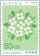 White Flowers
