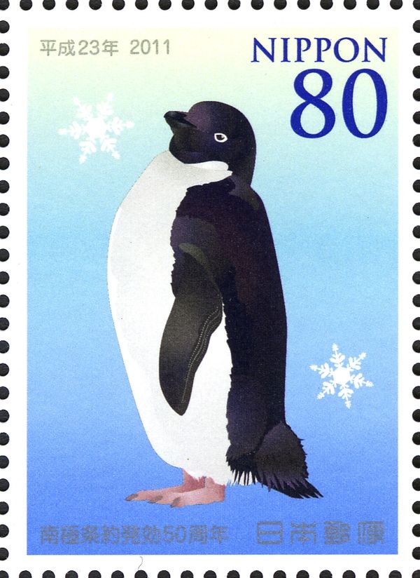 Adelie Penguin (Pygoscelis adeliae)