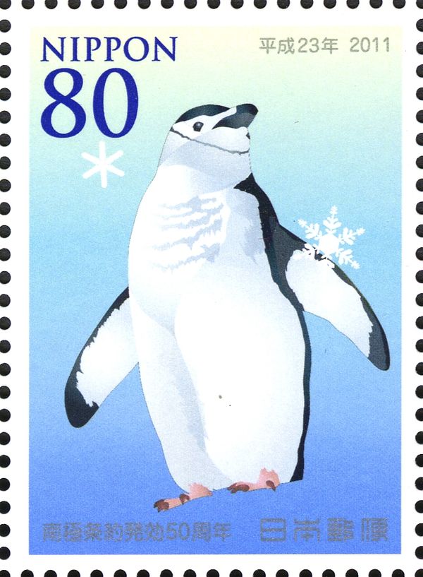 Chinstrap Penguin (Pygoscelis antarctica)