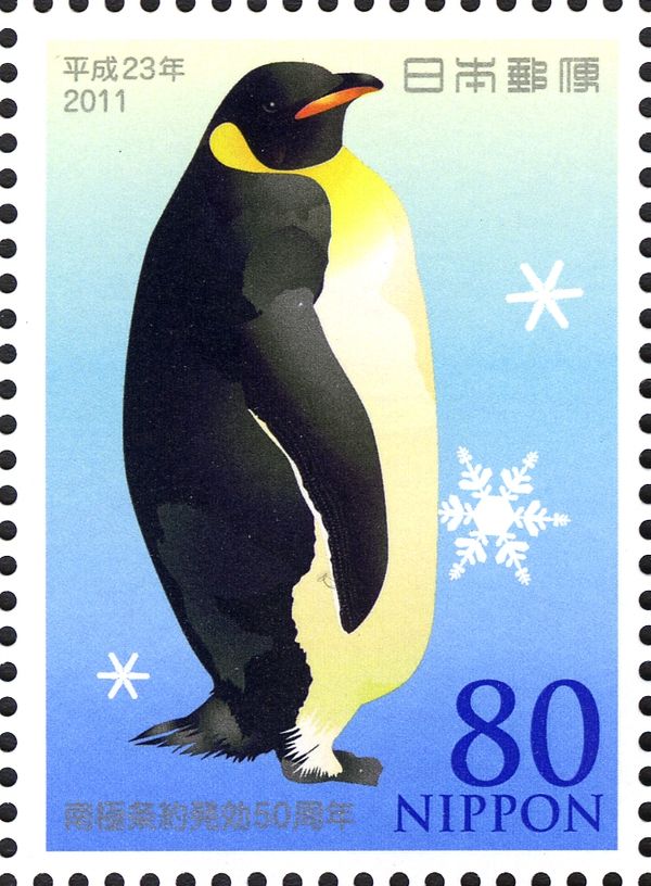 Emperor Penguin (Aptenodytes forsteri)