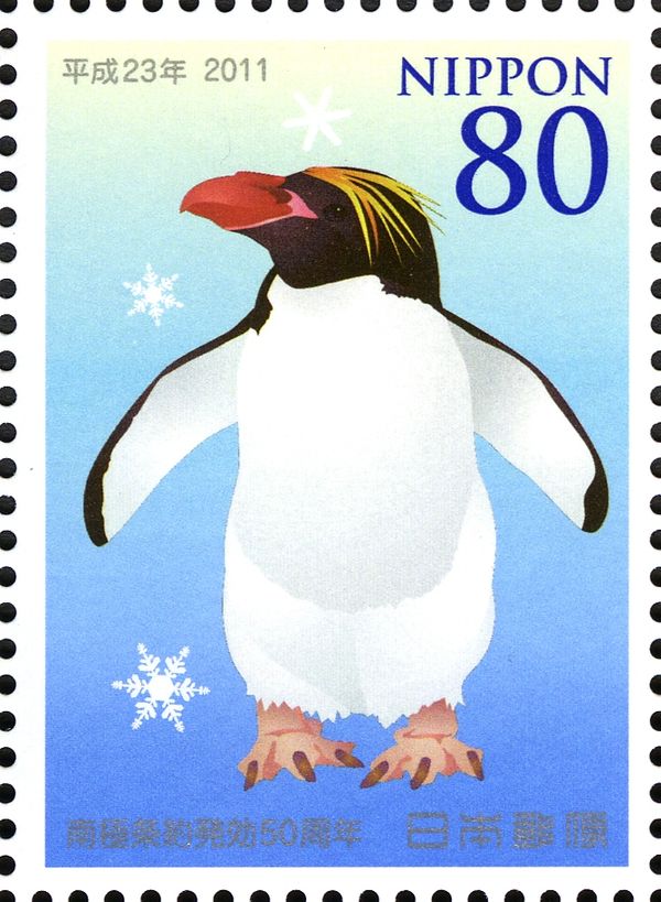 Macaroni Penguin (Eudyptes chrysolophus)