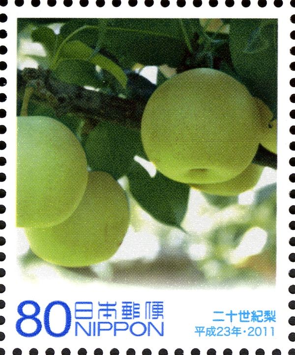 Local brand, Nijisseiki Pear