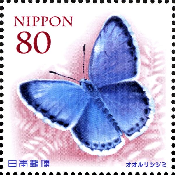 Butterfly (Shijimiaeoides divinus barine)