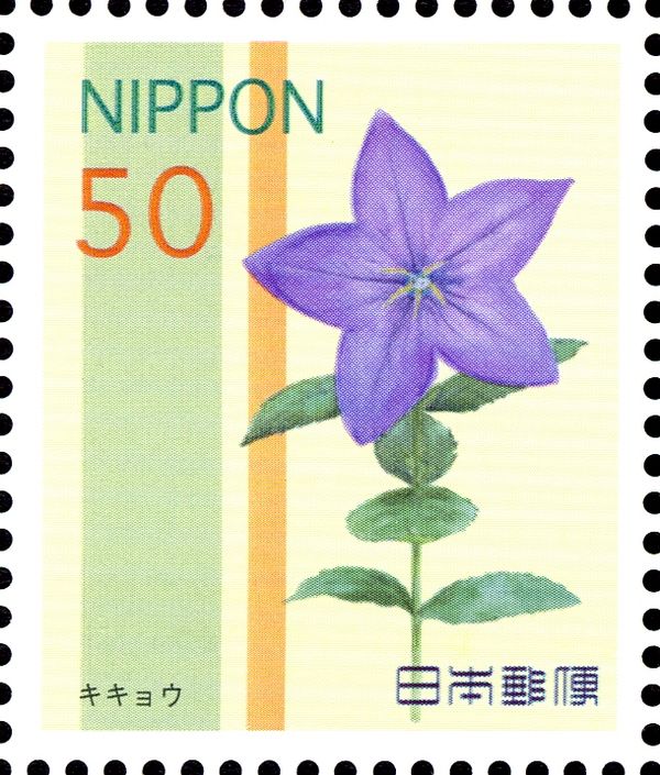 Platycodon grandiflorus