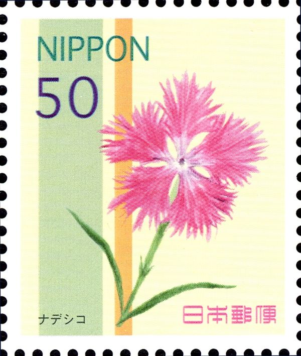 Dianthus superbus var. longicalycunis