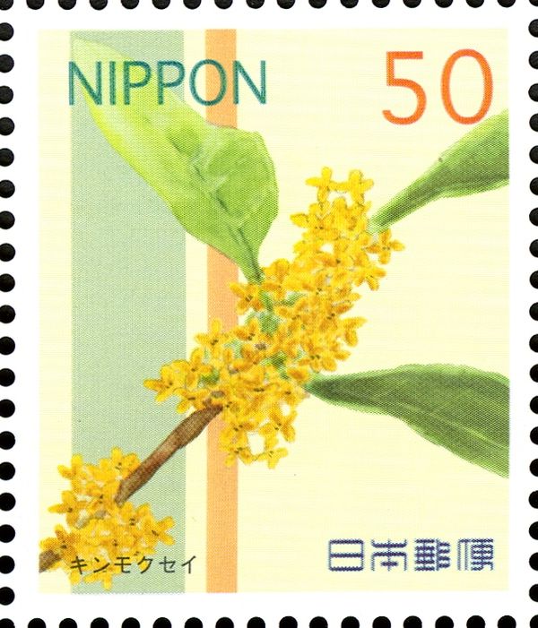 Osmanthus fragrans var. aurantiacus