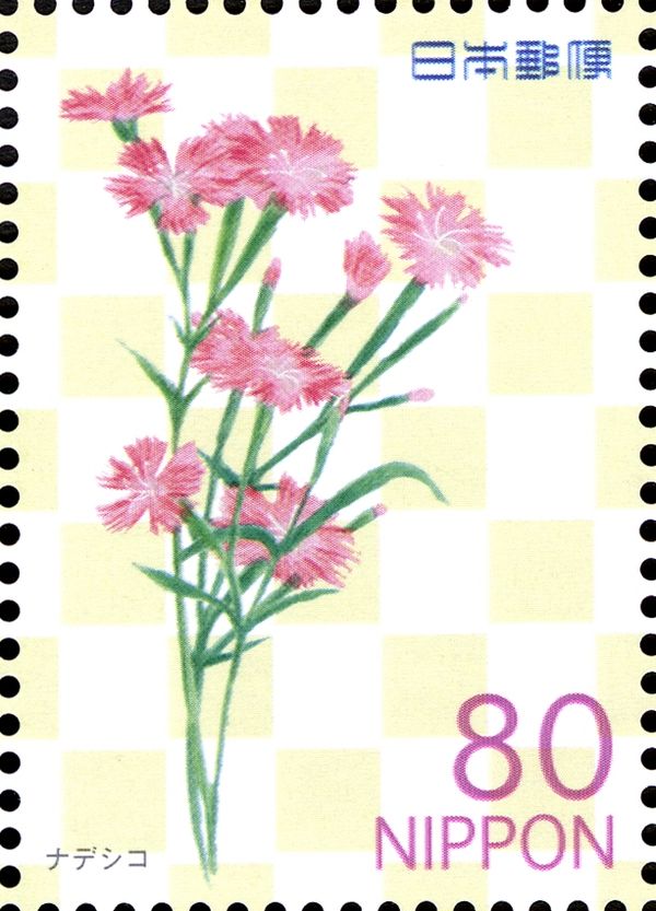 Dianthus superbus var. longicalycunis