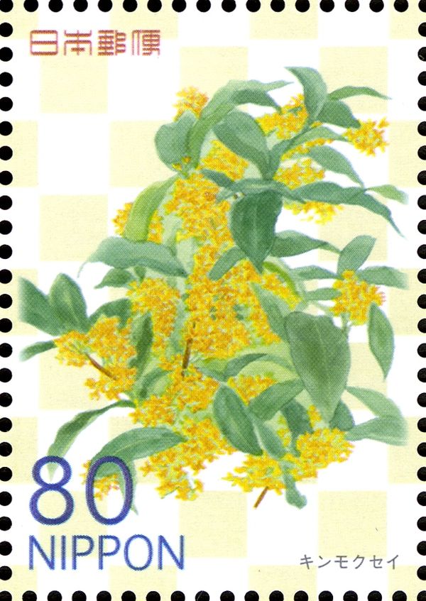 Osmanthus fragrans var. aurantiacus