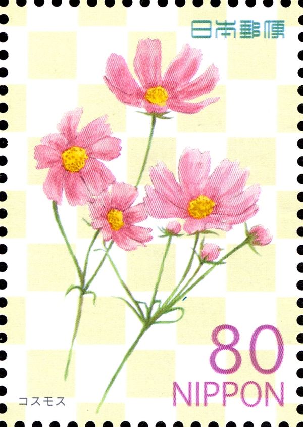 Cosmos