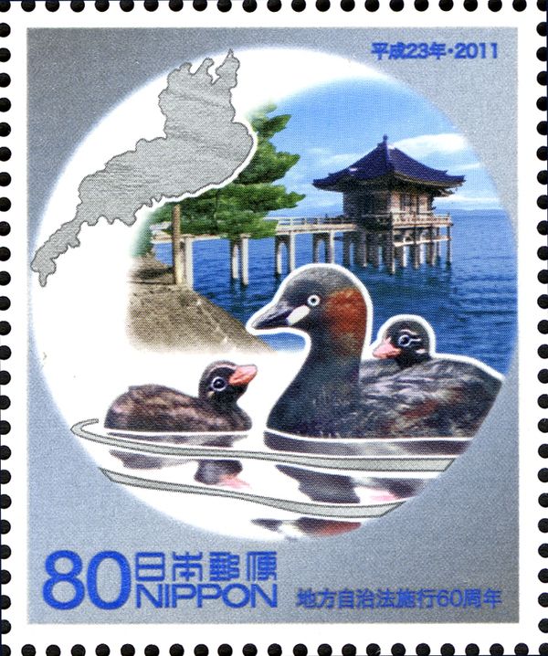 Lake Biwa, Little Grebe (Tachybaptus Ruficollis) and Ukimido