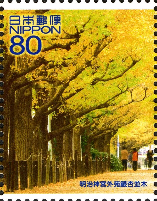 Gingko Trees at Meiji Jingu Gaien Park