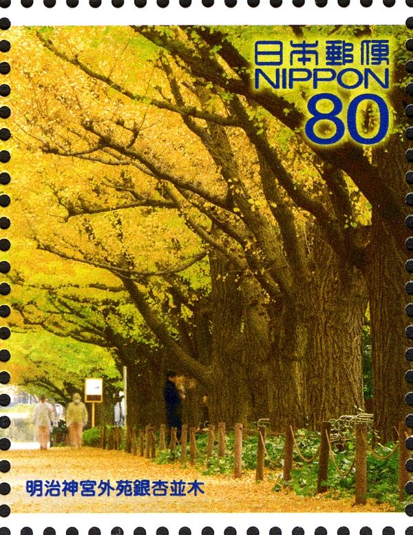 Gingko Trees at Meiji Jingu Gaien Park