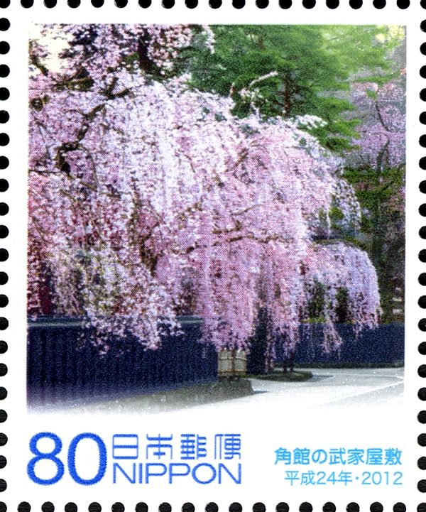 Weeping Cherry Trees, Kakunodate