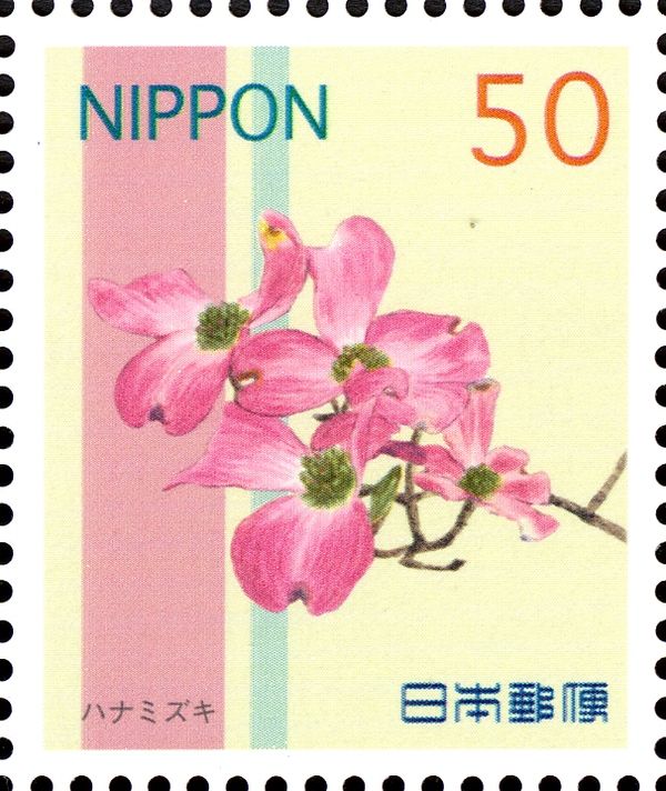 Dogwood Blossoms