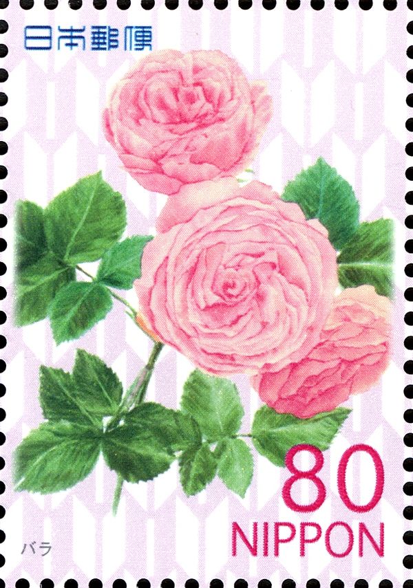 Roses
