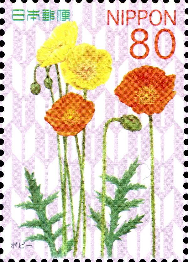 Poppies