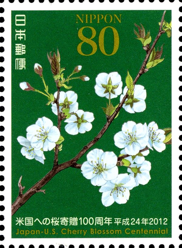Centennial: Gift of Cherry Blossom Trees to the US