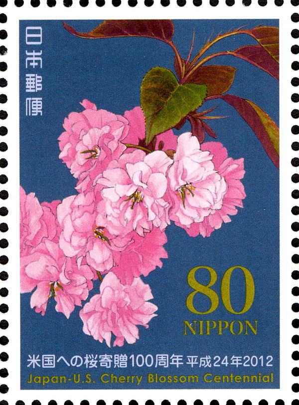 Centennial: Gift of Cherry Blossom Trees to the US