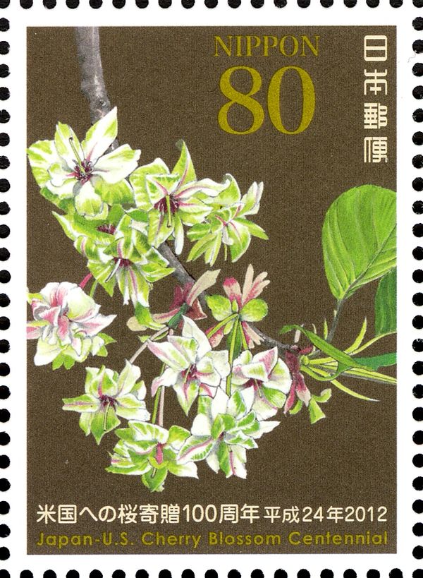 Centennial: Gift of Cherry Blossom Trees to the US