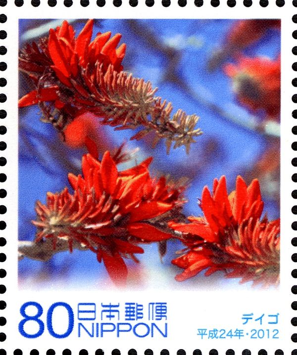 Erythrina Variegata