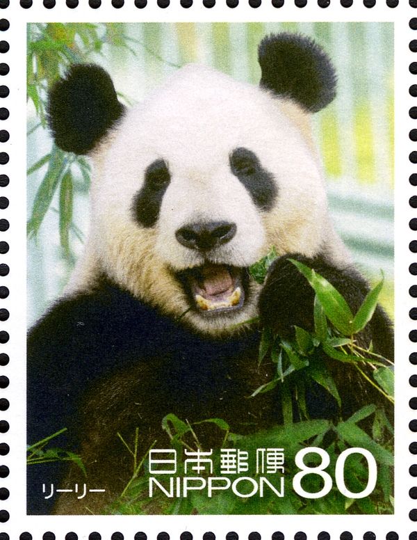 Giant Panda “Ri Ri” (Ailuropoda Melanoleuca), Ueno Zoo
