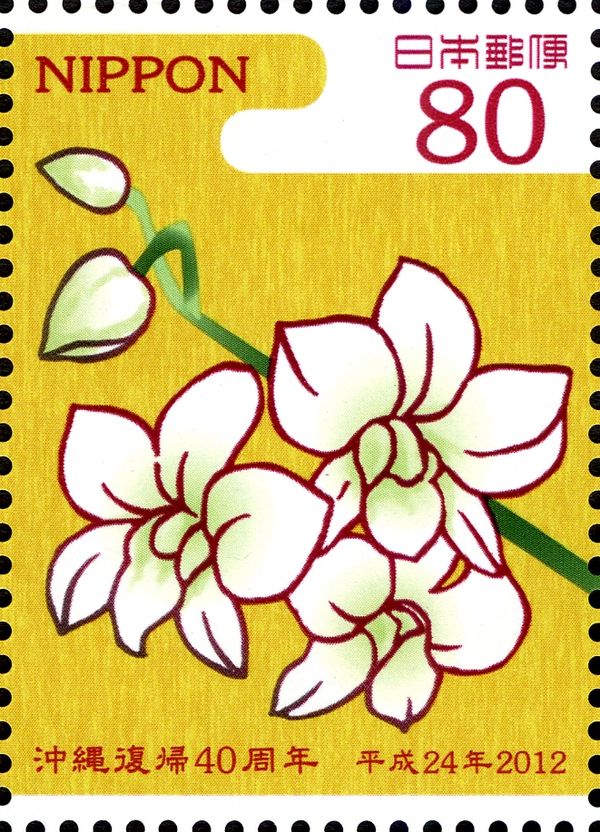 Orchidaceae