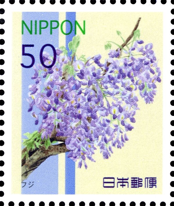 Wisteria floribunda