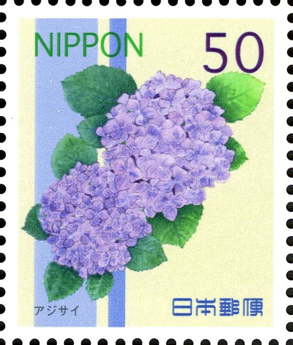 Hydrangea