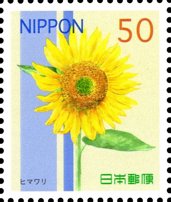 Helianthus annuus