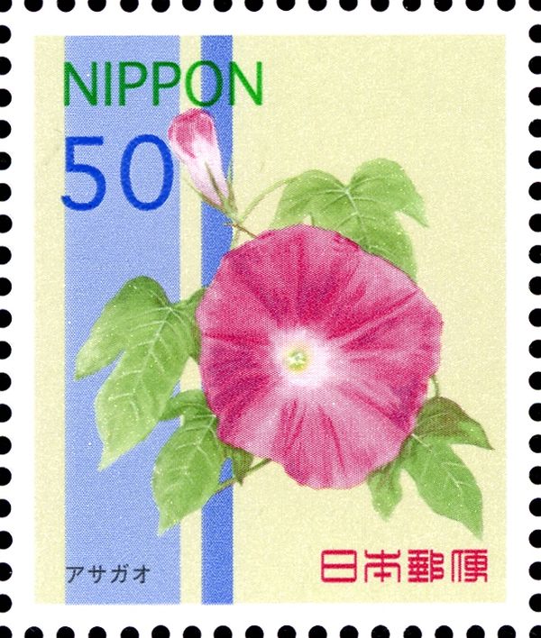 Ipomoea nil