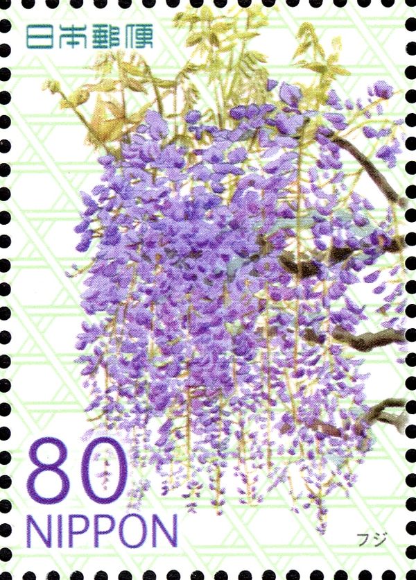 Wisteria floribunda