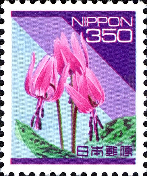 Adder's Tongue Lily (Erythronium dens-canis), Reissue