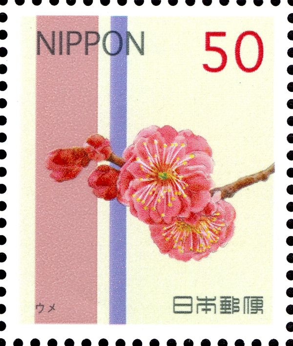 Prunus mume