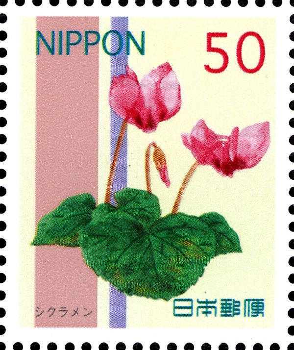 Cyclamen persicum