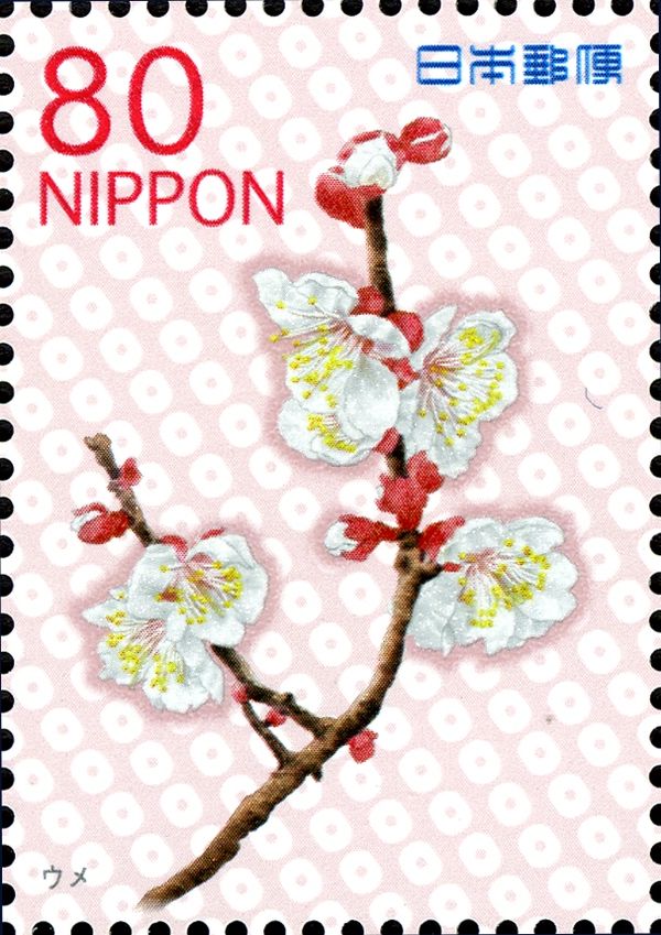 Prunus mume