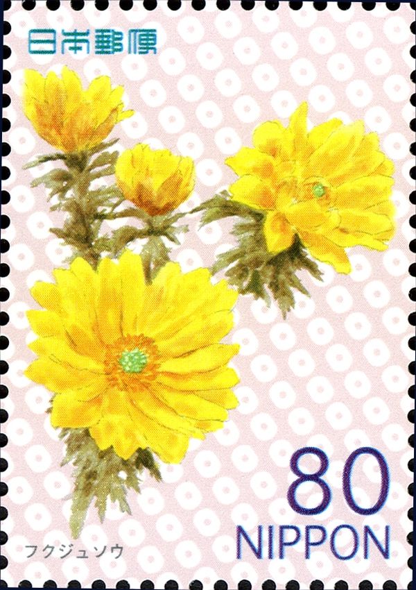 Adonis ramosa