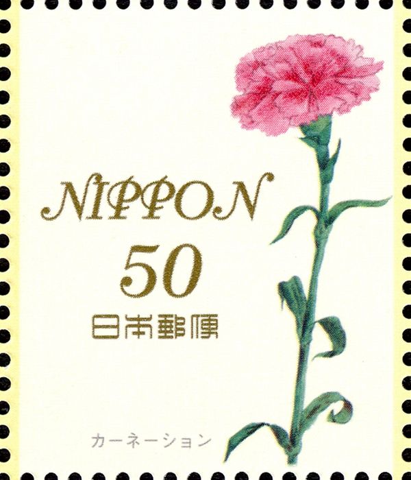 Dianthus Caryophyllus