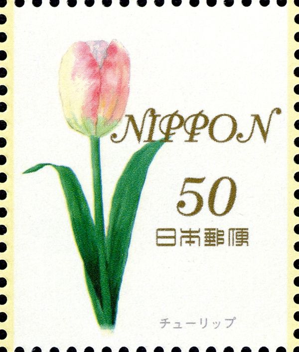 Tulip