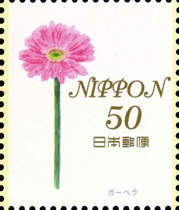 Gerbera