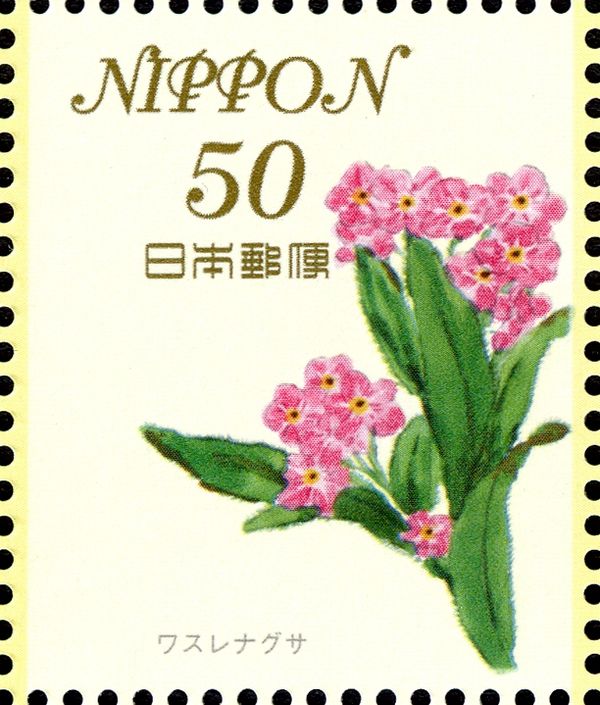 Myosotis Scorpioides