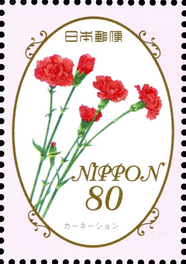 Dianthus Caryophyllus