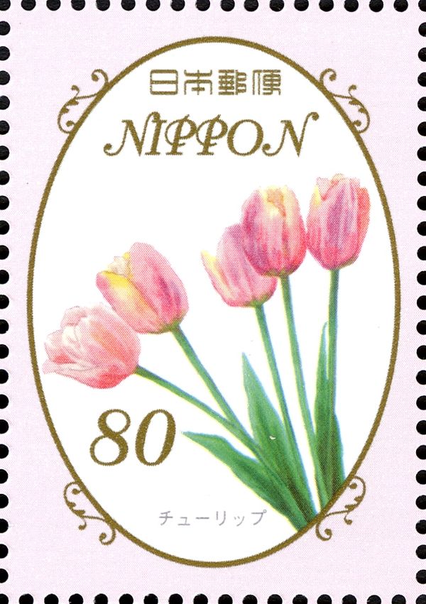 Tulip
