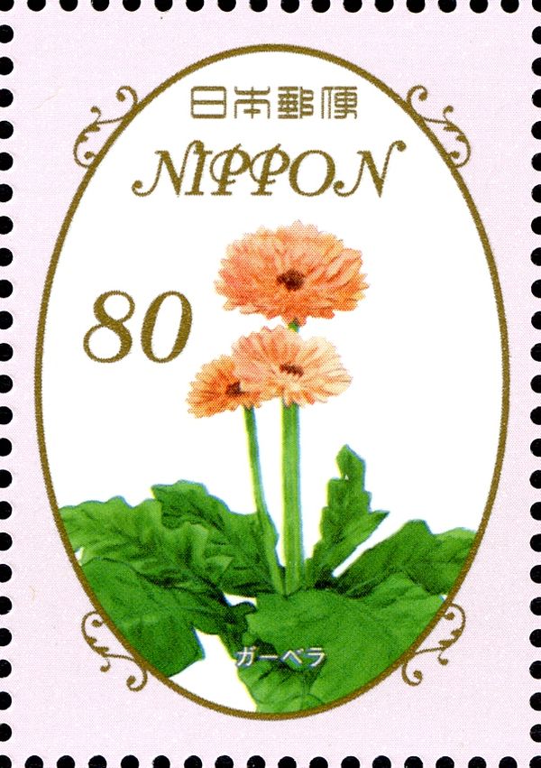 Gerbera
