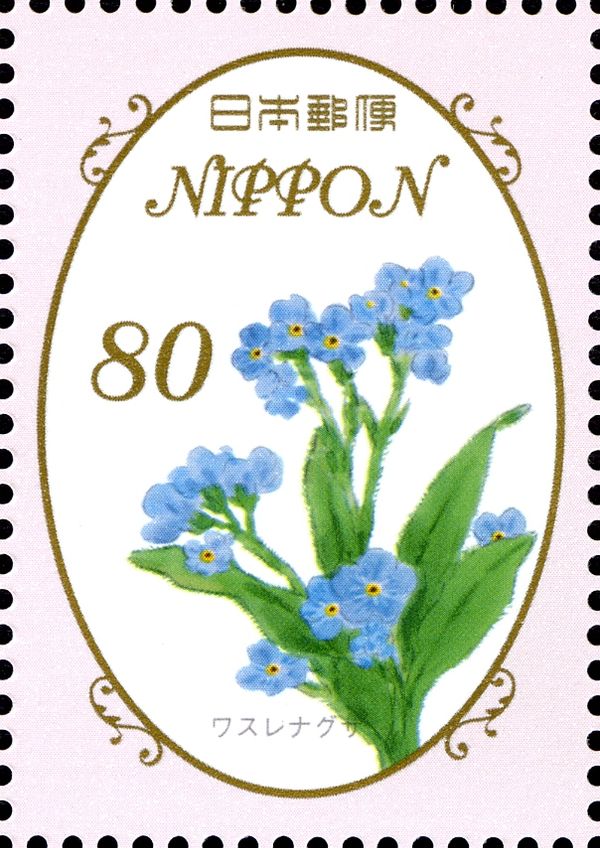 Myosotis Scorpioides